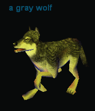 A Gray Wolf[1]