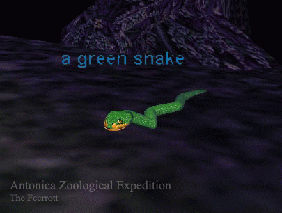 a green snake