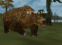 A Grizzly Bear