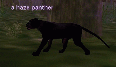 a haze panther