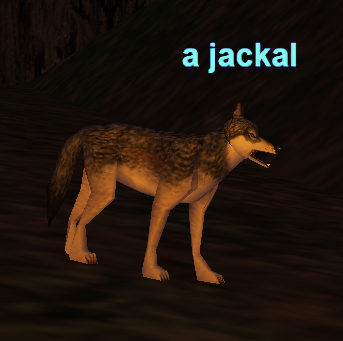 a jackal