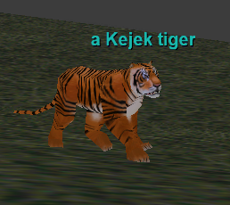 a kejek tiger