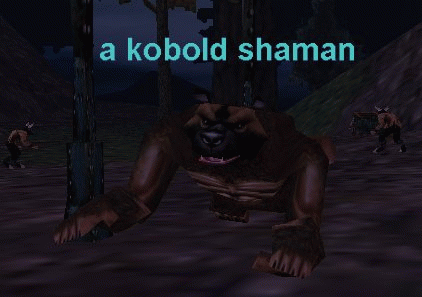 a kobold shaman