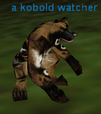 a kobold watcher