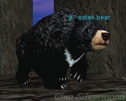 a kodiak bear