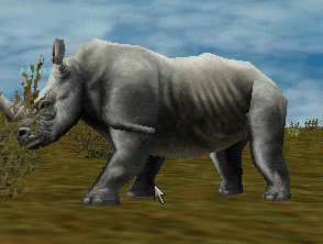 a kunark rhino