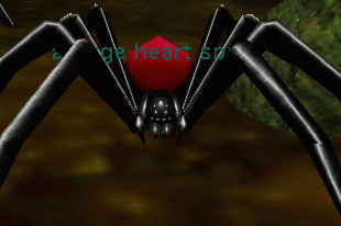 a large heart spider