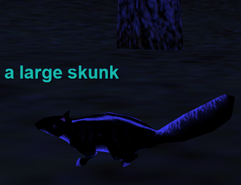 a large skunk