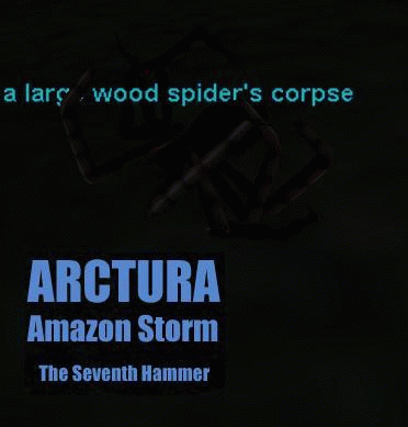 a large wood spider