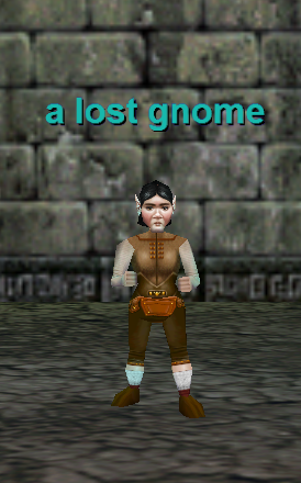 a lost gnome