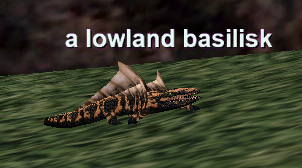 a lowland basilisk