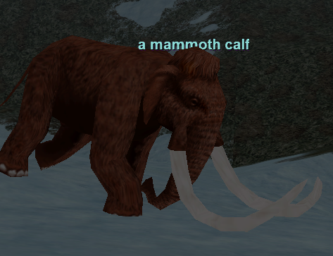 a mammoth calf