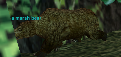a marsh bear