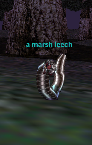 a marsh leech