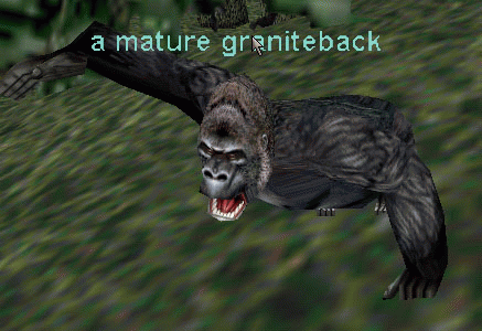 a mature graniteback