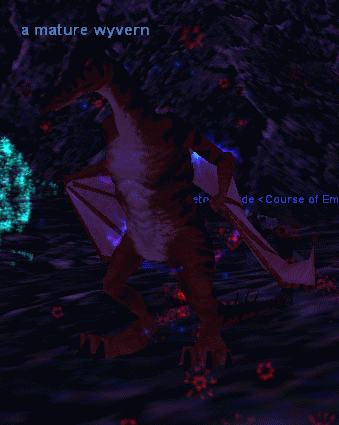 a mature wyvern