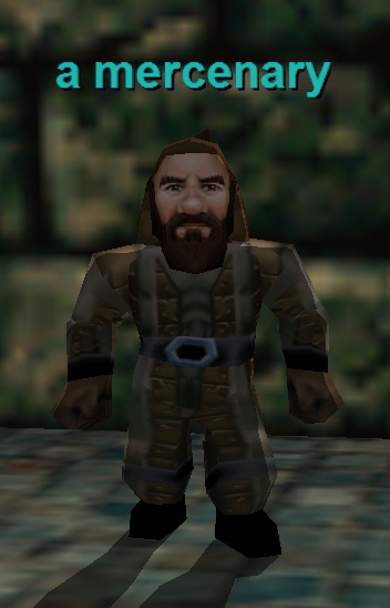 a mercenary