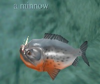 a_minnow