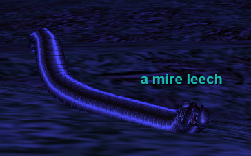 a mire leech