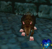 a nesting rat