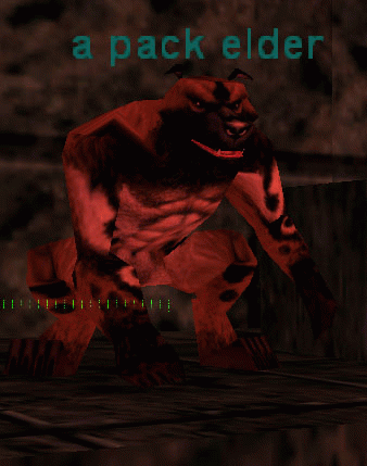 a pack elder