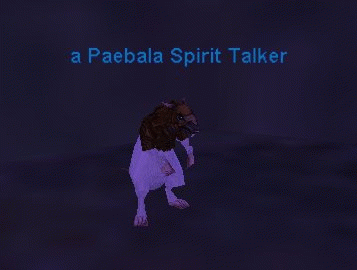 Npc a paebala spirit talker.png
