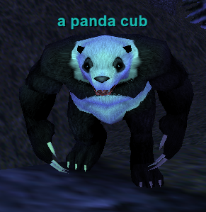 a panda cub