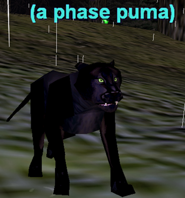 a phase puma