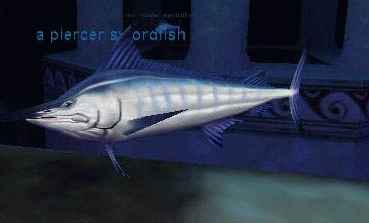 a piercer swordfish