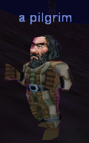 a pilgrim