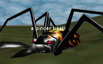 a pincer beetle