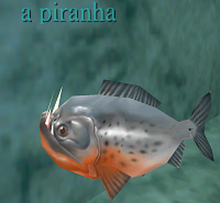 a piranha