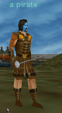a pirate