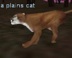 Npc a plains cat.png