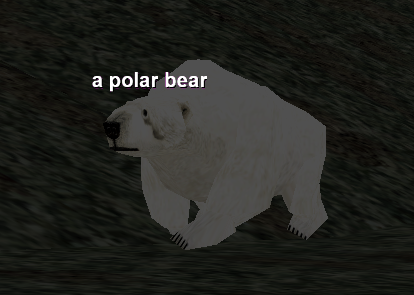 a polar bear