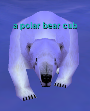 a polar bear cub