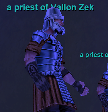 A priest of Vallon Zek