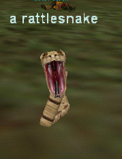 a rattlesnake