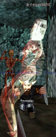 a revenant