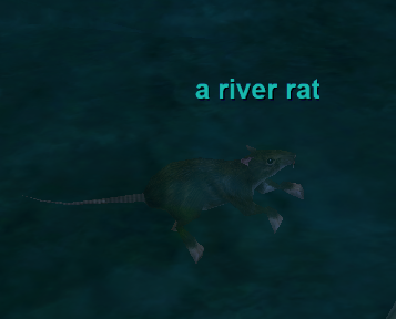 a river rat
