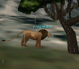 a rogue lion