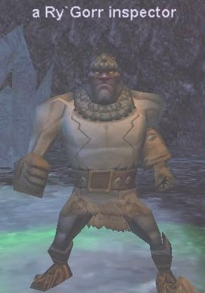 a Ry`Gorr inspector