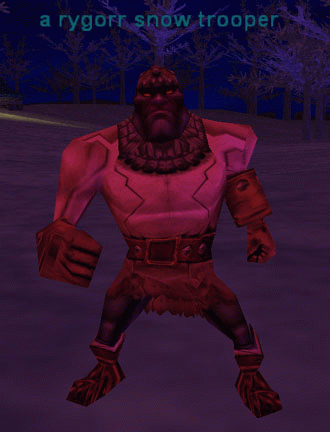 a Ry`Gorr snow trooper