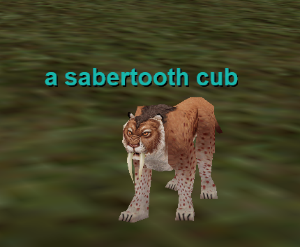a sabertooth cub