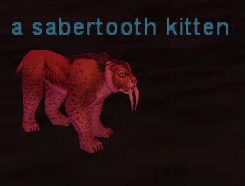 a sabertooth kitten
