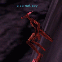 a sarnak spy