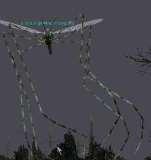 a scourgewing mosquito