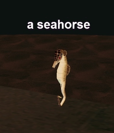 a seahorse