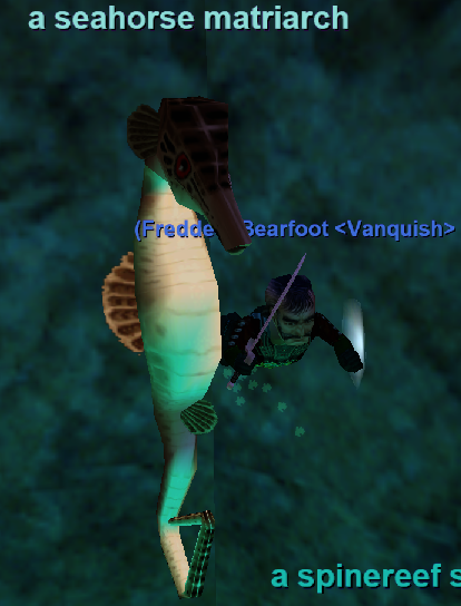 a seahorse matriarch
