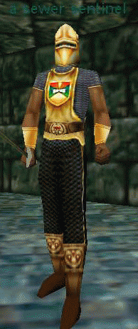 a sewer sentinel